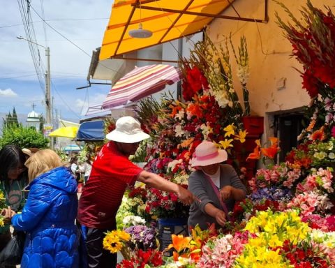 Huancayo: Flower prices skyrocket due to All Saints' festivities