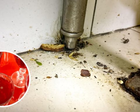 Huancayo: two stores are closed and fined for mold, accumulated grease and lack of hygiene