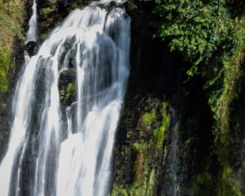 Huila: 6-year-old indigenous girl dies in a landslide due to heavy rains in Íquira