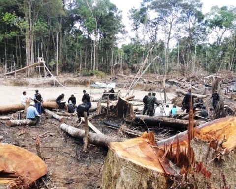 Illegal economies advance without sufficient support to combat them