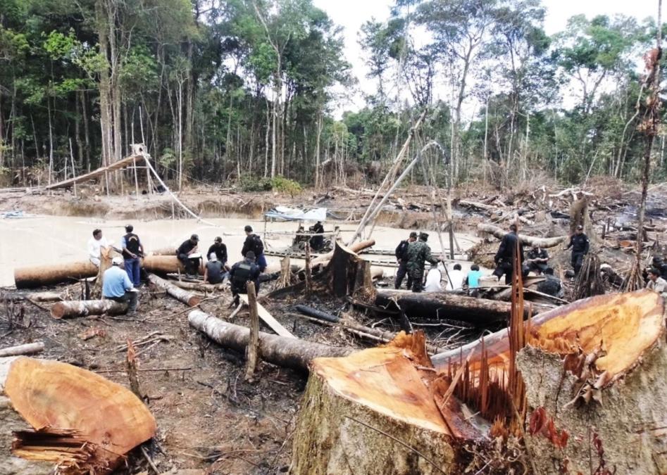 Illegal economies advance without sufficient support to combat them