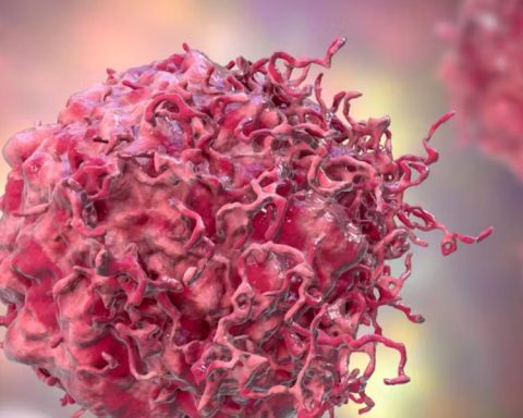 J&J acquires Halda Therapeutics for $3.05 billion to advance cancer therapies