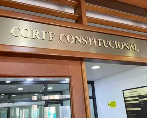 Corte Constitucional.