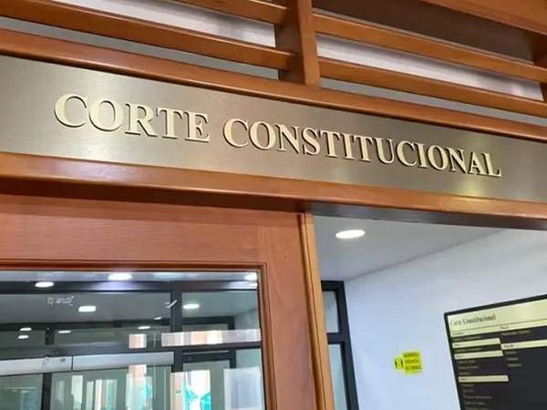 Corte Constitucional.