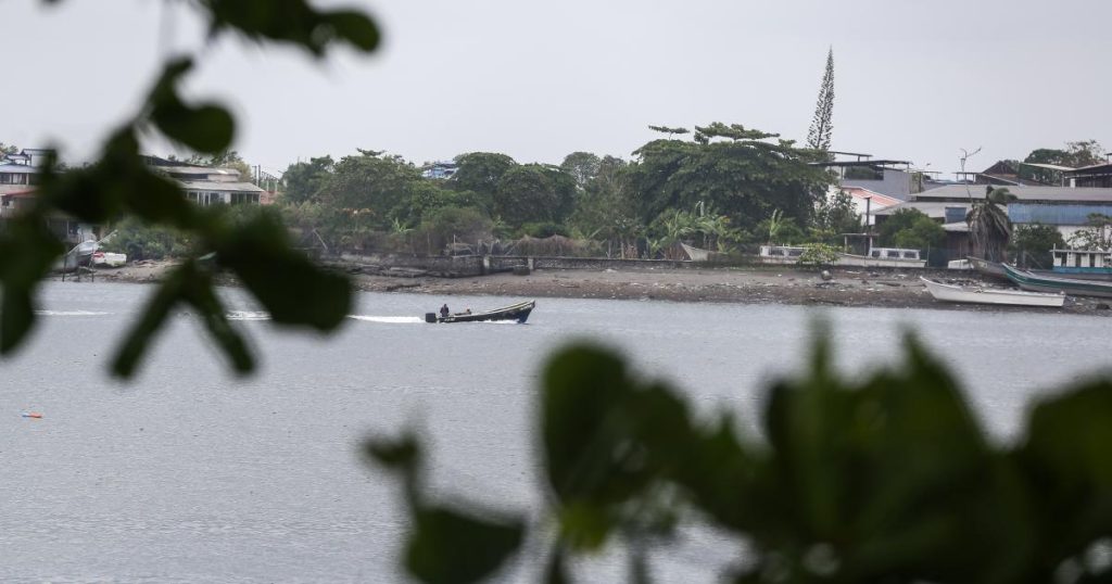 Legal Medicine confirms seven minors killed in bombing against dissidents in Guaviare