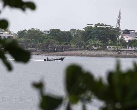 Legal Medicine confirms seven minors killed in bombing against dissidents in Guaviare