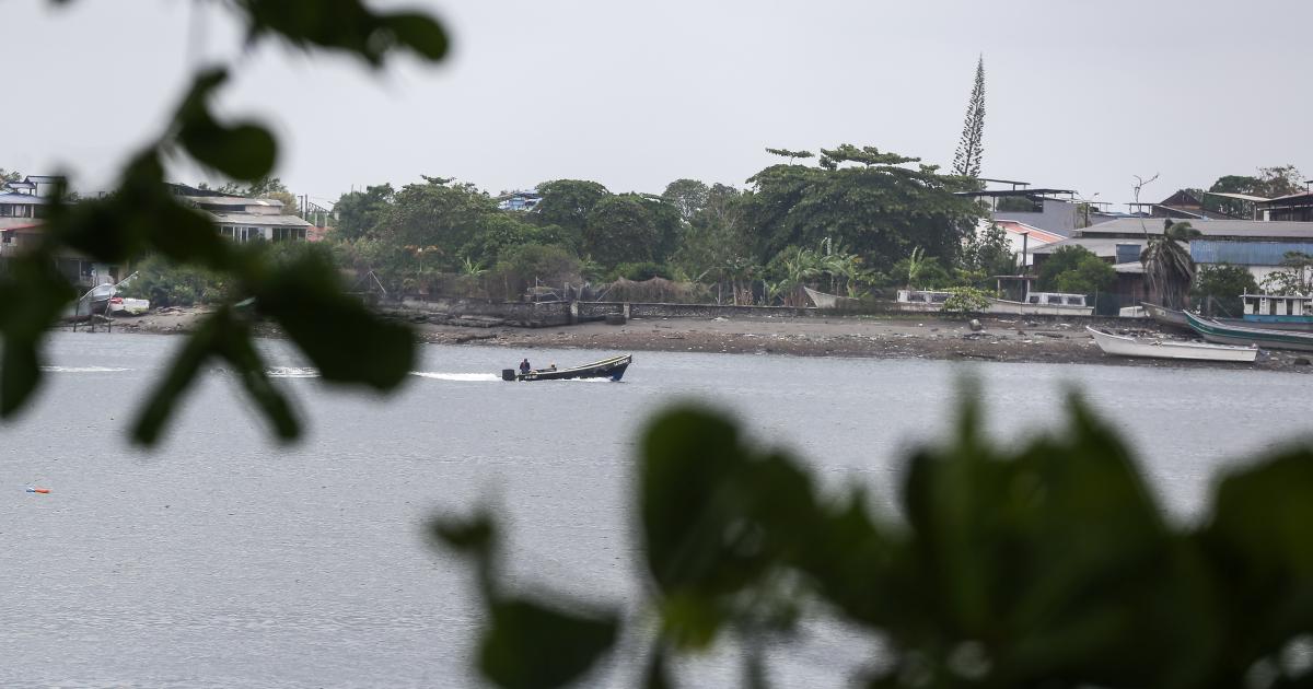 Legal Medicine confirms seven minors killed in bombing against dissidents in Guaviare