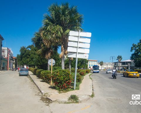 Light, Trades and a historical triangle on Avenida del Puerto