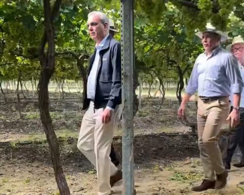 Luis Abinader joins the “Team Fruta”, participant of La Casa de Alofoke 2