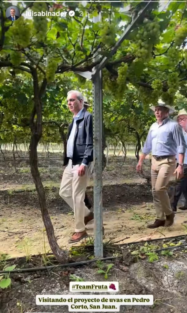 Luis Abinader joins the “Team Fruta”, participant of La Casa de Alofoke 2