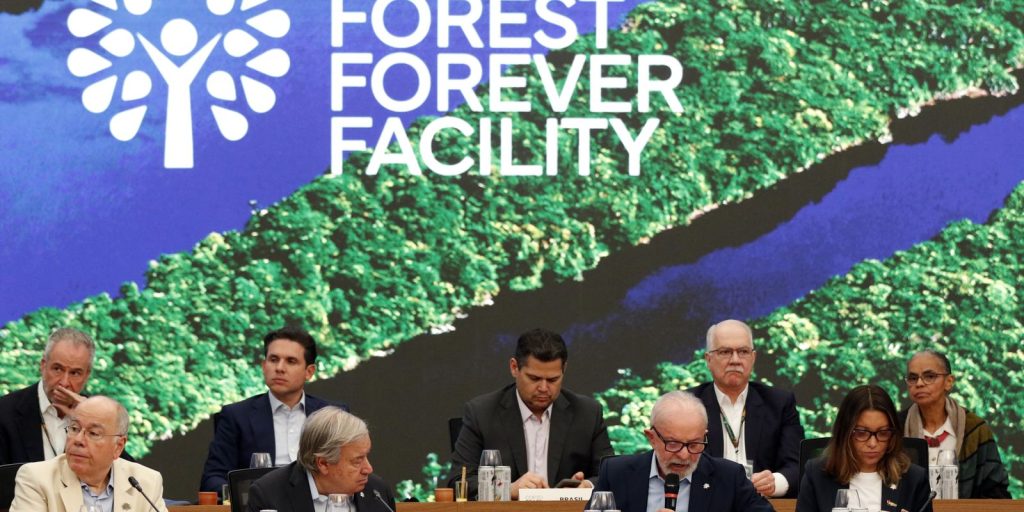Lula launches fund to preserve tropical forests in Belém