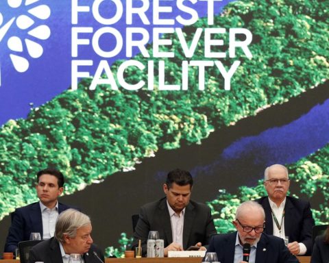 Lula launches fund to preserve tropical forests in Belém