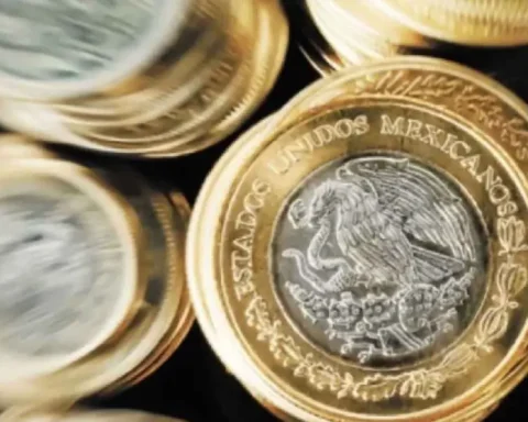 Mexican peso appreciates slightly against the dollar after local inflation data