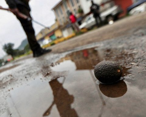 Michoacán, territory of three terrorist cartels in the crosshairs of the United States