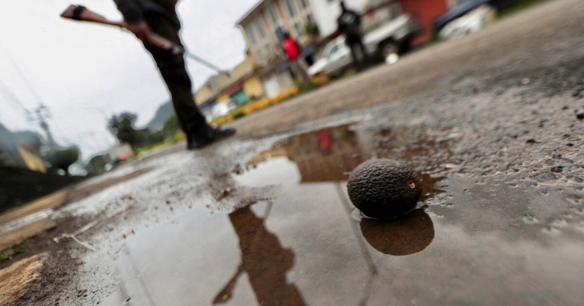 Michoacán, territory of three terrorist cartels in the crosshairs of the United States