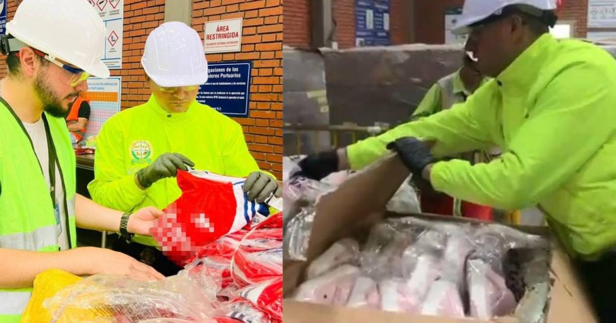 Millionaire counterfeit shipment was seized in the port of Cartagena