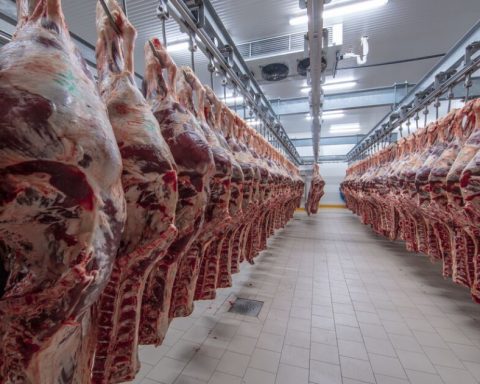 More expensive meat is the reason why inflation in services does not ease: deputy governor of Banxico