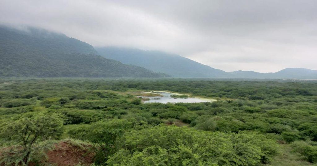 More than three tons of cocaine are seized in Uribia in a blow to drug trafficking in La Guajira