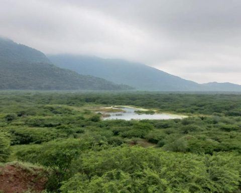 More than three tons of cocaine are seized in Uribia in a blow to drug trafficking in La Guajira