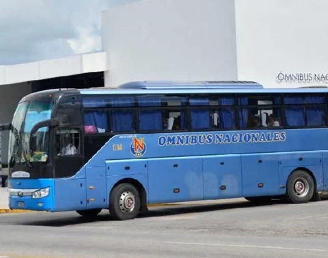 Ómnibus, Cuba, crisis, transporte, transfermóvil