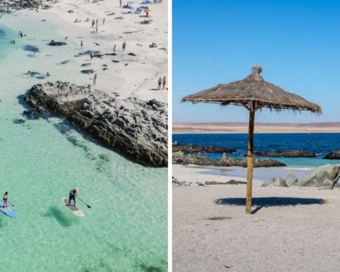 Neither La Serena nor Viña del Mar: the Chilean beach with turquoise water that seems like a paradise and few know