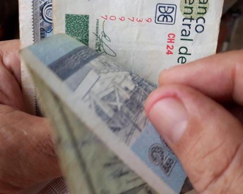 Nobody is going to like the official dollar rate, official economists predict on television