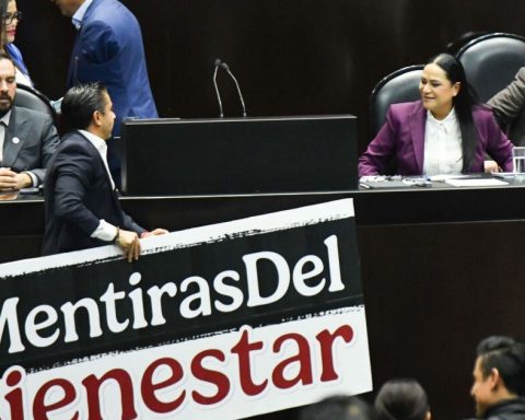 Opposition deputies demand Ariadna Montiel for ''the lies of Welfare''
