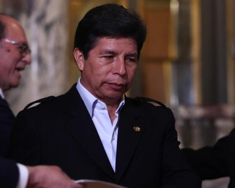 Pedro Castillo: Prosecutor's Office must file a complaint against congressmen, says lawyer Fernando Silva