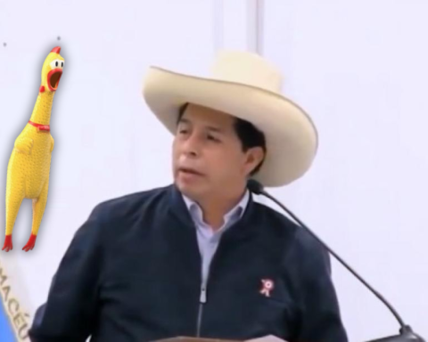 Pedro Castillo's lawyer to judges: “You now have the chicken in your hands”