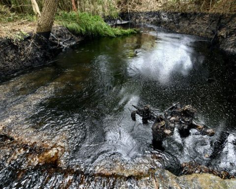 Pemex spill in Veracruz leaves a river lifeless and communities without water