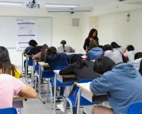 Permanence Scholarship 2025: This Tuesday the 2nd the list of selected candidates will be published