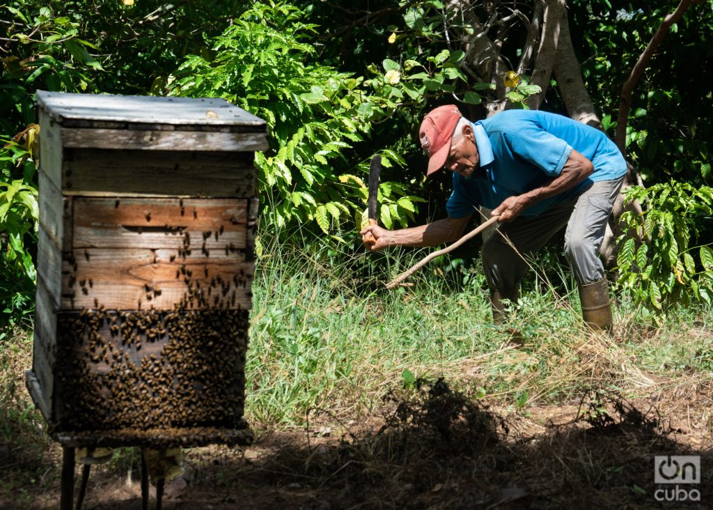 Pinero Chronicles: Córdova, the geologist