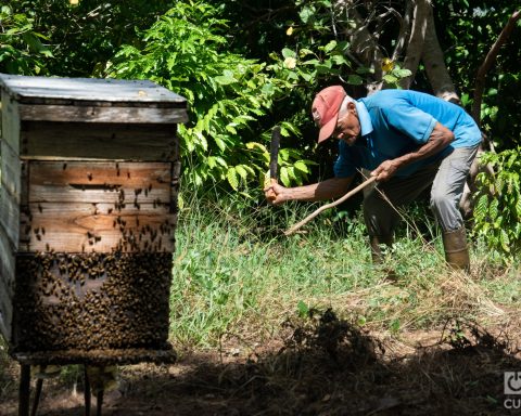 Pinero Chronicles: Córdova, the geologist