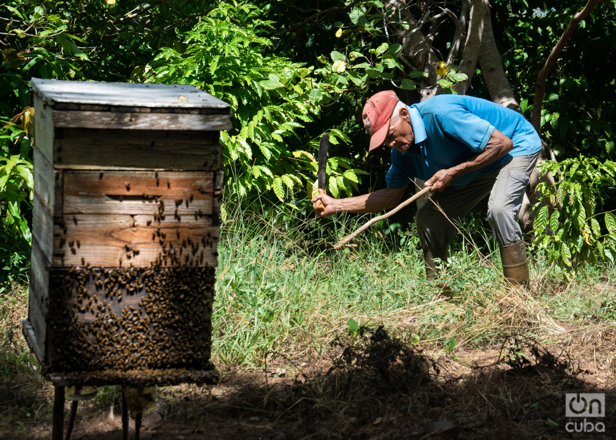 Pinero Chronicles: Córdova, the geologist