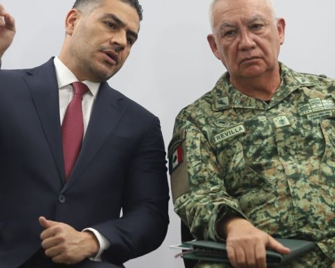 Plan Michoacán leaves more than 900 detainees and 23 tons of drugs seized