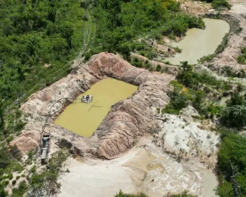 Presence of criminal factions in the Amazon grows 32% in one year