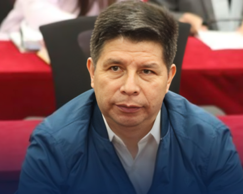 Presidential candidate promised to INDULT PEDRO CASTILLO and others "political prisoners"