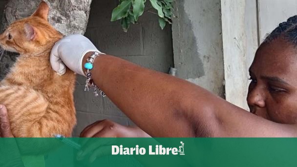 Public Health begins vaccination day against rabies