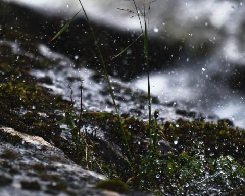 Pueblorrico: authorities will relocate 25 families affected by landslide in Antioquia