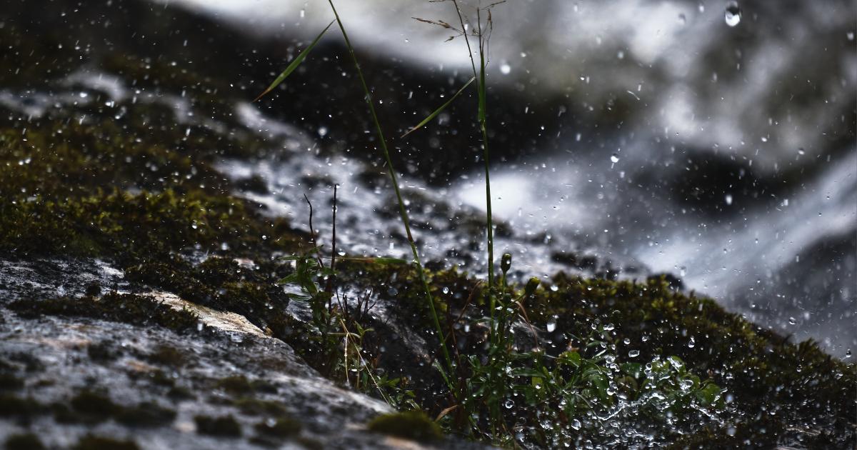 Pueblorrico: authorities will relocate 25 families affected by landslide in Antioquia