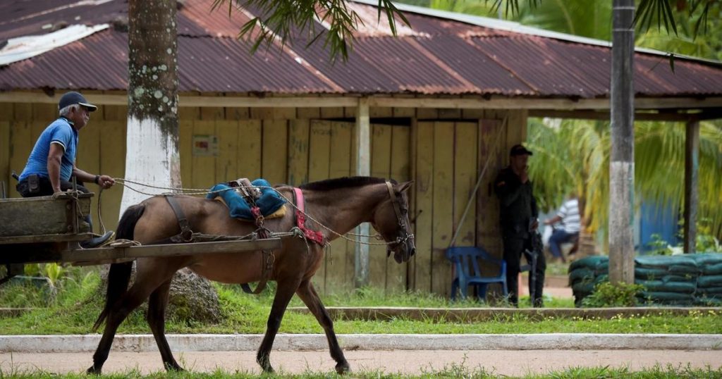 Recruitment of minors: Maicol Pérez, one of 15 victims in bombings in Guaviare