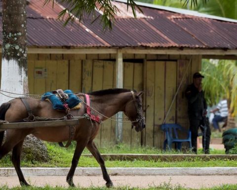 Recruitment of minors: Maicol Pérez, one of 15 victims in bombings in Guaviare