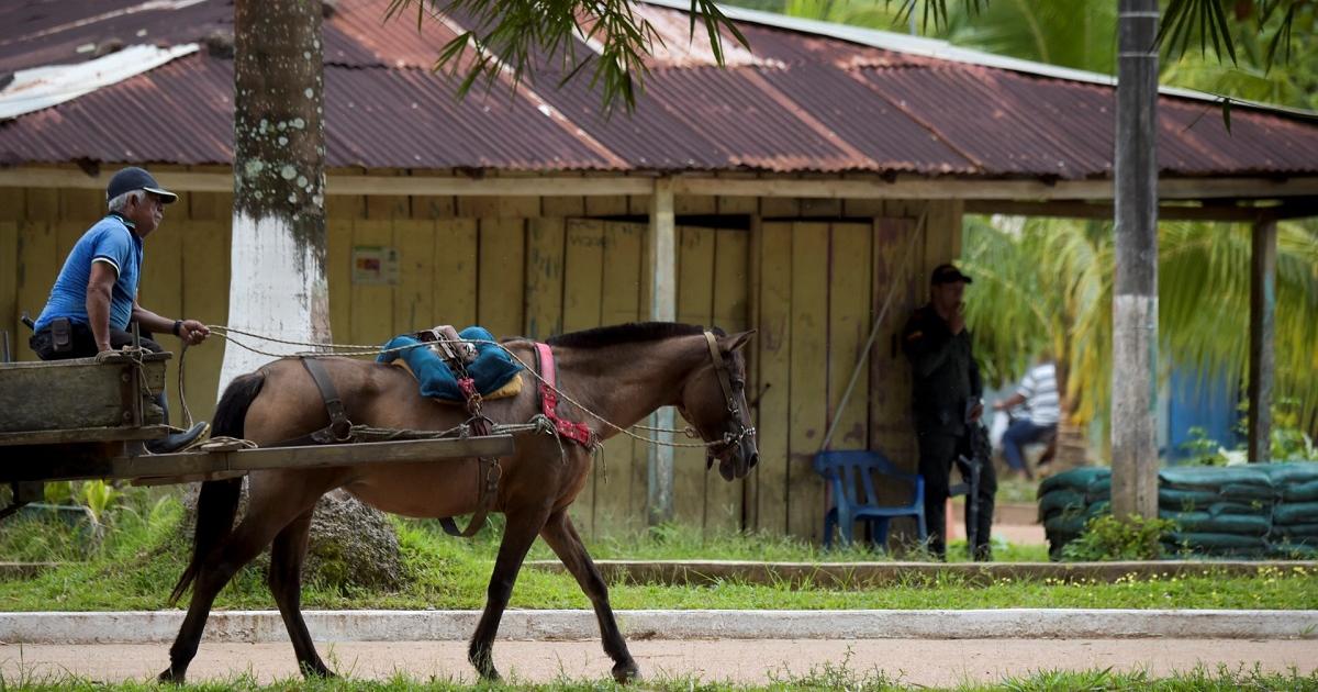 Recruitment of minors: Maicol Pérez, one of 15 victims in bombings in Guaviare