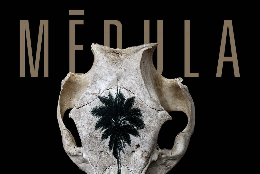 Roberto Fabelo inaugurates “Médula”