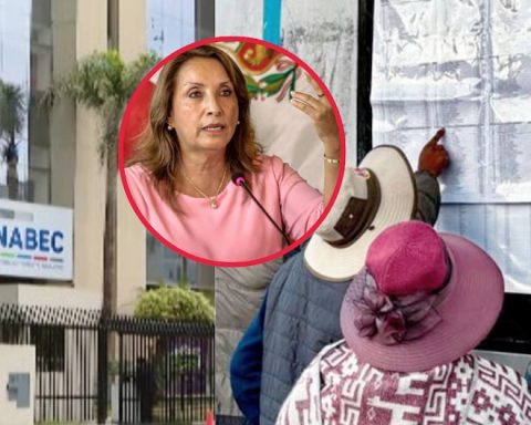 Scholarship 18: They denounce that Dina Boluarte's management offered 20 thousand scholarships without a budget