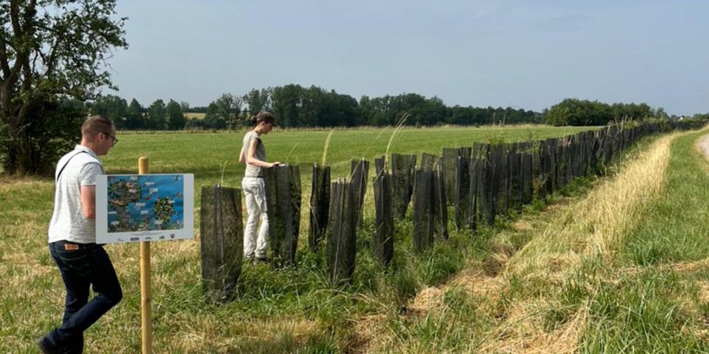 Standing forest: crops and trees reduce the impact of climate change