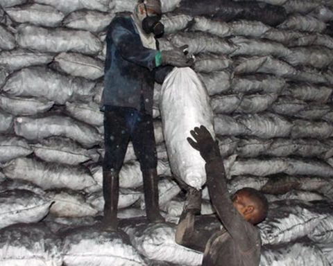 State coal producers blame fuel crisis for plummeting exports