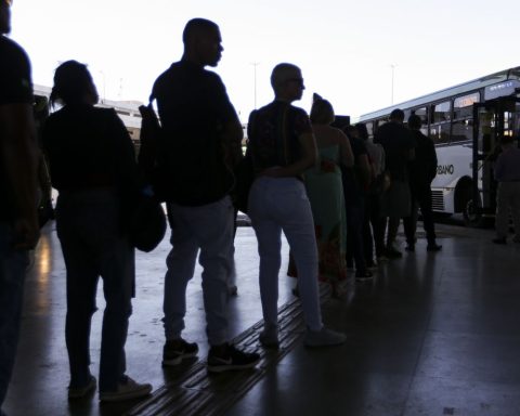 Study advocates replacing transport vouchers with universal zero fare