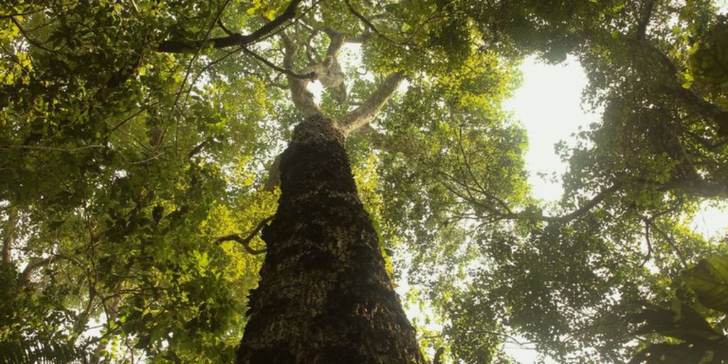 TV Brasil premieres new season of "Parks of Brazil" this Sunday