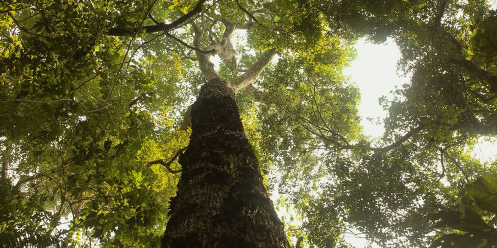 TV Brasil premieres new season of "Parks of Brazil" this Sunday